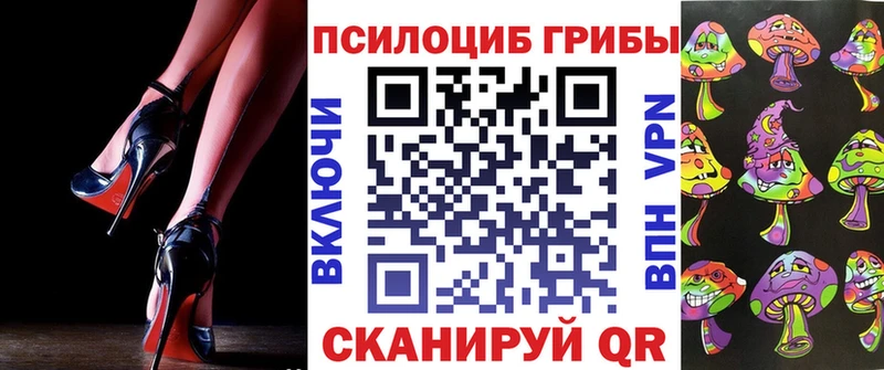 Галлюциногенные грибы Magic Shrooms  Купить закладки  Дагестанские Огни 